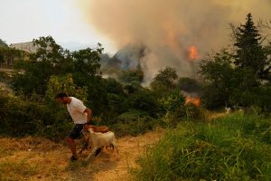 Climate Change Wildfires