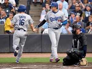 Dodgers Rays Baseball