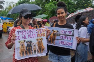 India Stray Dogs Protest