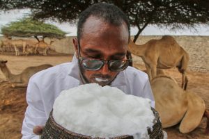 Somalia Camel Milk