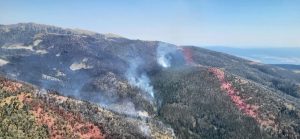 Wildland Firefighter Killed-Montana