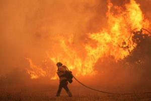 Climate Scientists Trump