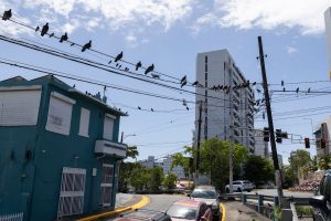 Puerto Rico Bankruptcy