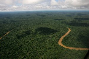 Ecuador Amazon Environment