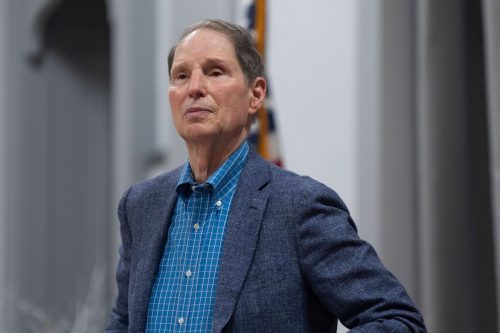 Democrats-Wyden's Role