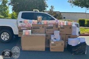 California Labubu Theft