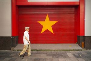 Vietnam Tiger Economy