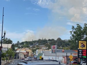Elk Fire