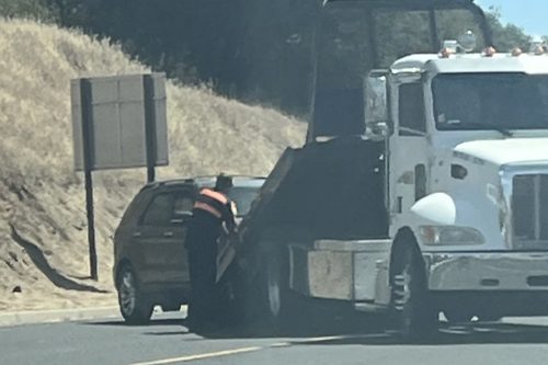 Hit-and-run on Mono Way in Sonora -- Photo taken by Karen Jensen
