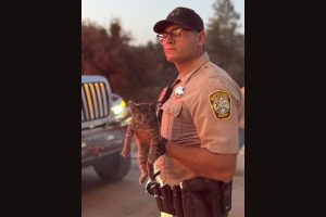 A Deadly Mariposa County House Fire Left The Victim’s Pets Homeless