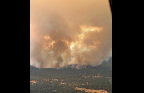 Coyote Fire - CAL Fire Image