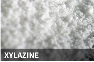 The drug Xylazine—CDPH photo