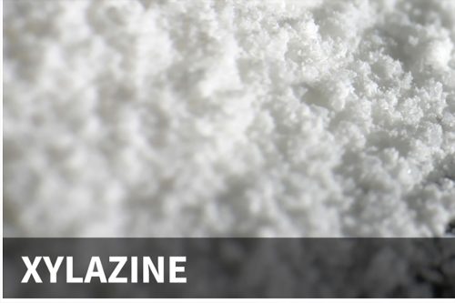 The drug Xylazine—CDPH photo