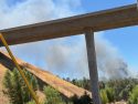 Fire In Standard