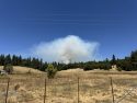 Tiger Fire burning northeast of Pioneer in Amador County—Carlos Stoughton
