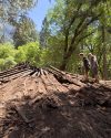 Santa Rosa Scout Troop 135 member working on the Ceremonial Round House In Yosemite National Park—Park photo