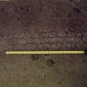 Tire tracks found at the scene in West Point—CCSO photo