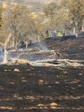 Martel Fire -- CAL Fire TCU photo