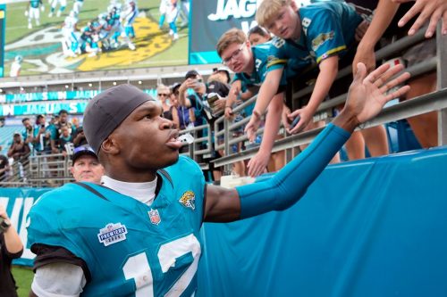 Panthers Jaguars Football