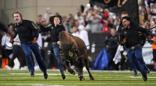 Wyoming Colorado Football