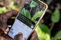 Malawi AI Farmers