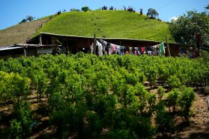Trump Colombia Drug Cooperation