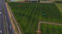 Giant Corn Maze