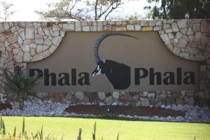South Africa-Cash Scandal-Explainer