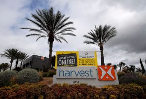 Harvest Ministries Sex Abuse Lawsuits