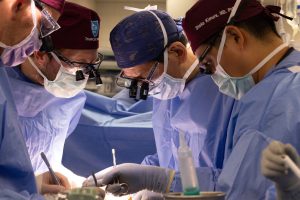 Pig Kidney Transplant
