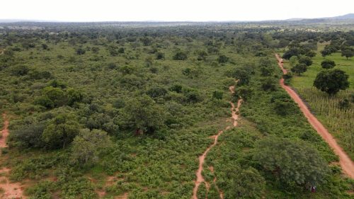 Mali-Fuel Blockade