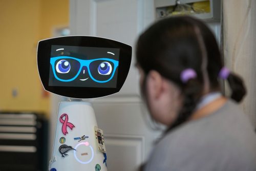 Therapeutic Hospital Robot Robin
