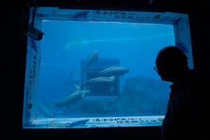 China Aquatic Biodiversity Photo Gallery