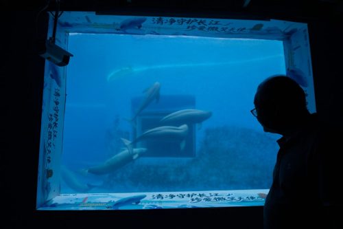 China Aquatic Biodiversity Photo Gallery