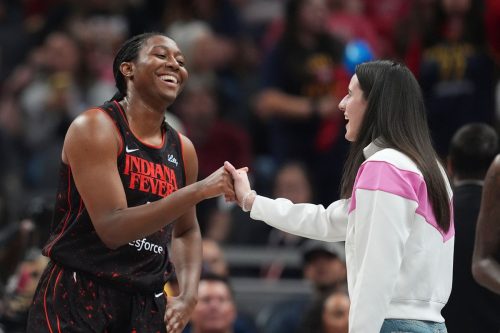 Lynx Fever Basketball