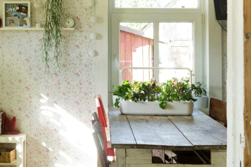 Smart Gardening-Tech