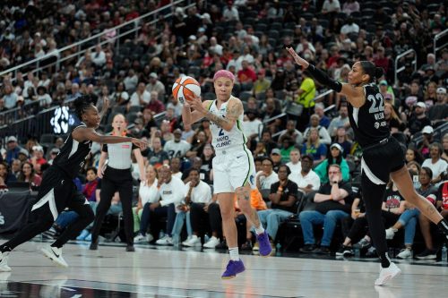 Lynx Aces Basketball