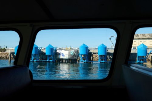 Climate Wave Energy