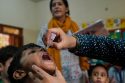 Pakistan Polio