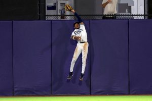 Blue Jays Rays Baseball