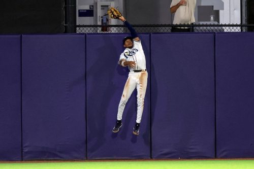 Blue Jays Rays Baseball