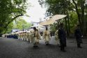 Japan Sacred Shrine Rebuilt