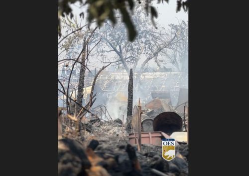 Chinese Camp Fire Devastation