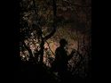 Firefighters respond to lightning related incidents - CAL Fire Tuolumne Calaveras Unit Image