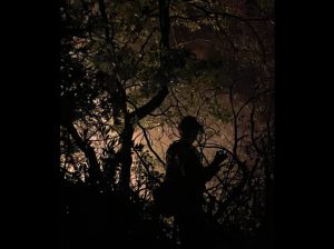 Firefighters respond to lightning related incidents - CAL Fire Tuolumne Calaveras Unit Image