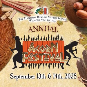 Acorn Festival Logo 2025