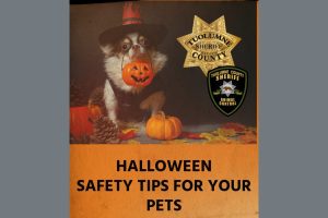 Halloween safety tips for pets graphic—TCSAC
