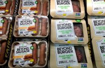 Earns Beyond Meat