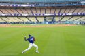 Blue Jays Dodgers World Series Baseball