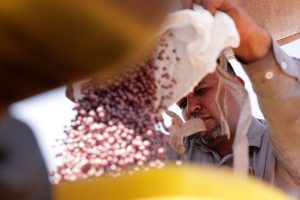 Brazil Soybeans Exports